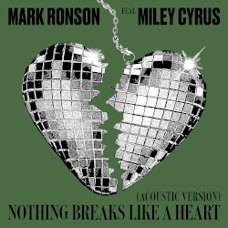 Nothing Breaks Like a Heart (acoustic version)