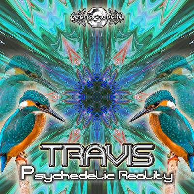 Psychedelic Reality